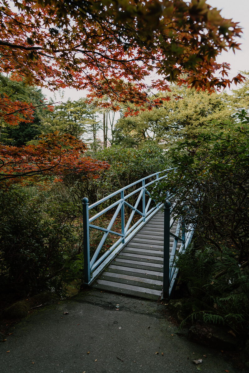 Johnston Gardens