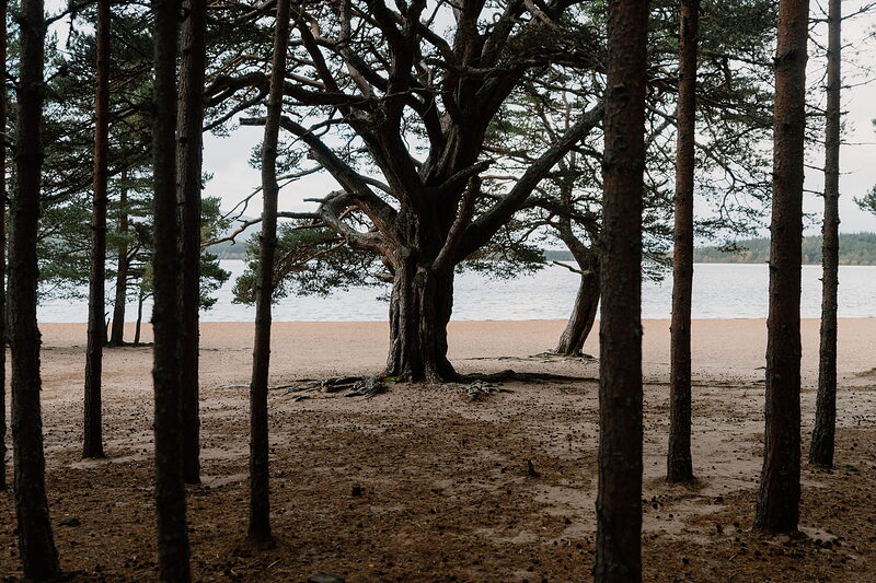 Loch Morlich