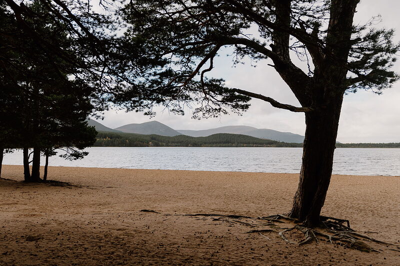 Loch Morlich