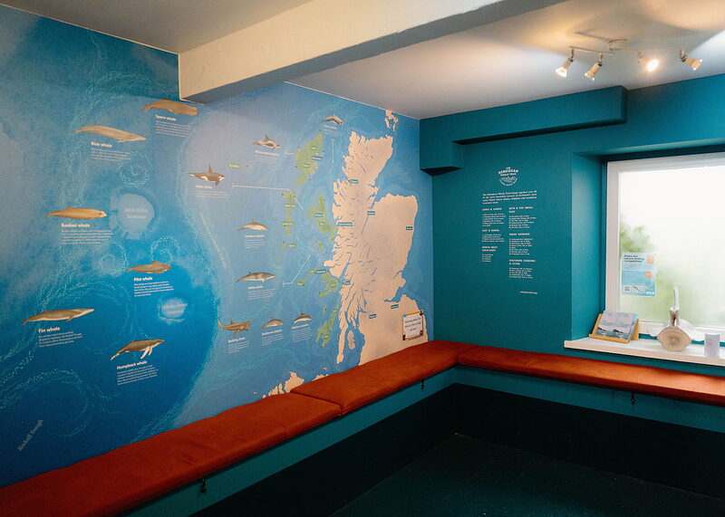 Hebridean Whale Centre
