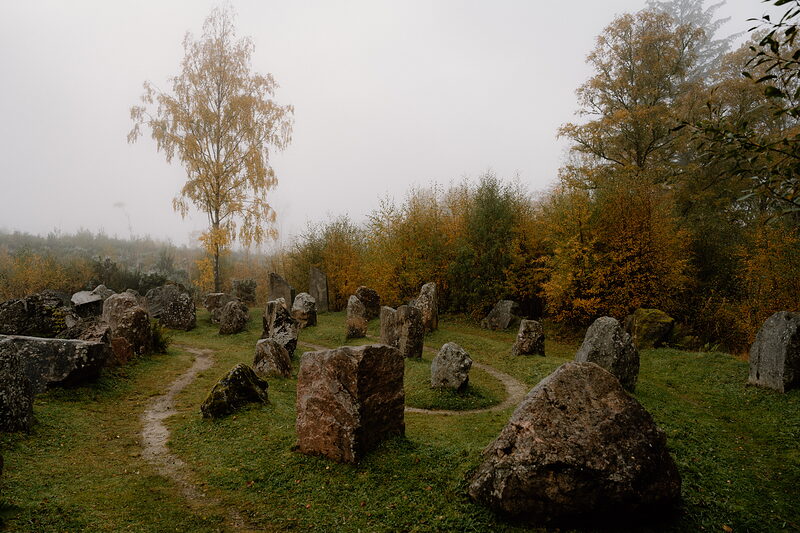 Blackmuir Wood and the Touchstone Maze