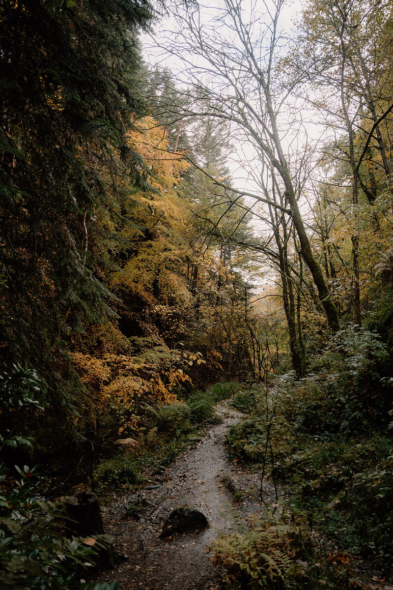 Fairy Glen, Rosemarkie