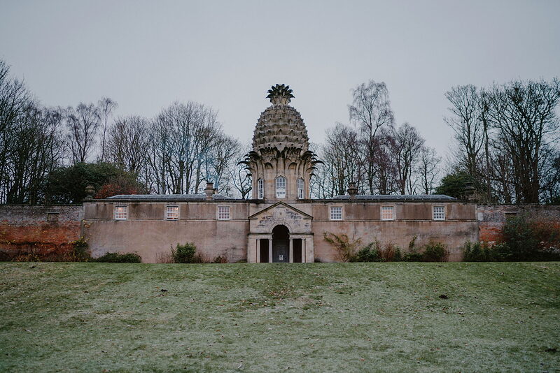 The Pineapple