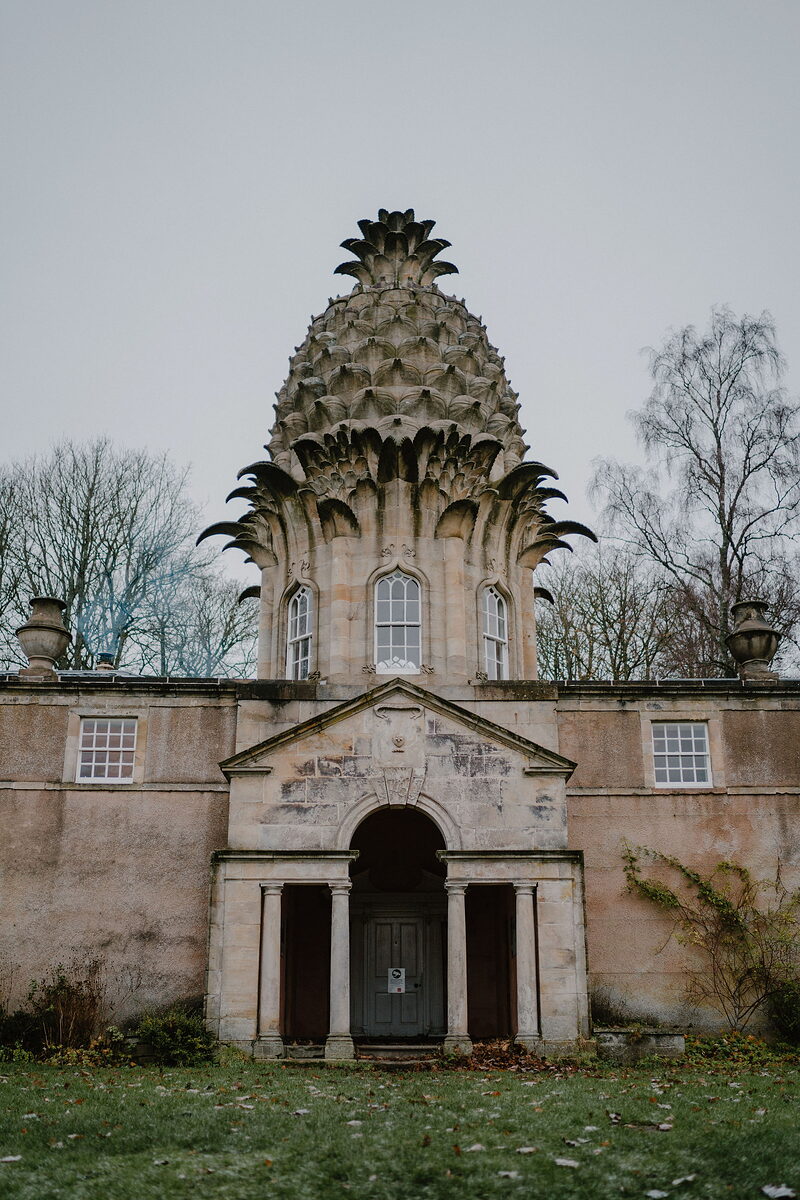 The Pineapple