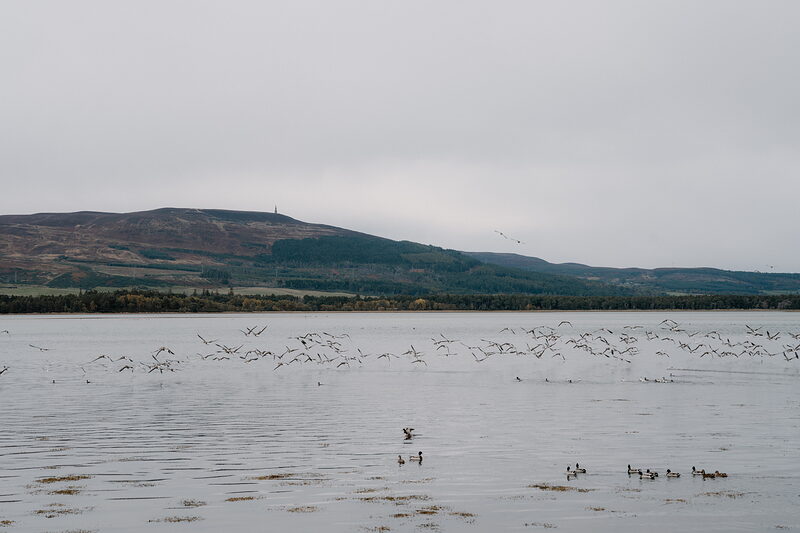 Loch Fleet National Nature Reserve